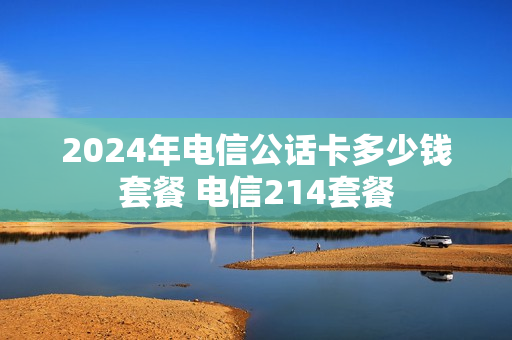 2024年电信公话卡多少钱套餐 电信214套餐