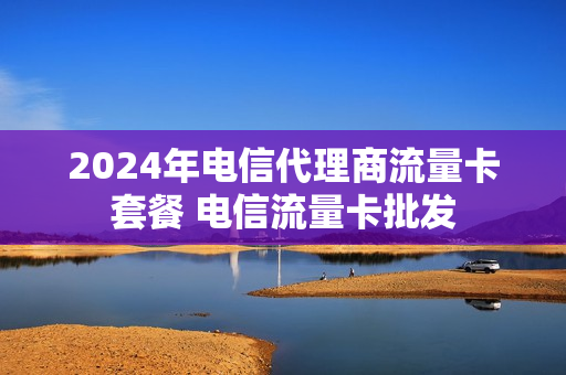 2024年电信代理商流量卡套餐 电信流量卡批发
