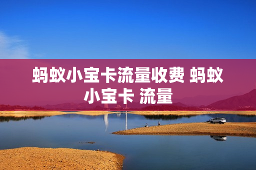 蚂蚁小宝卡流量收费 蚂蚁小宝卡 流量