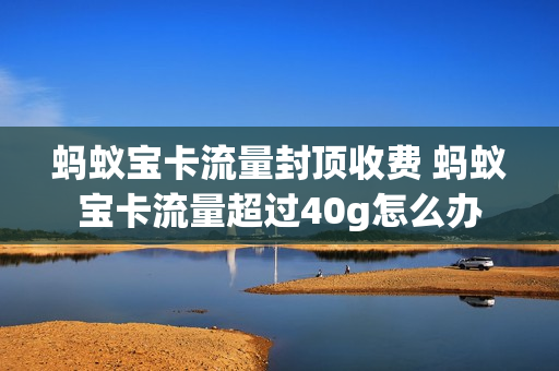 蚂蚁宝卡流量封顶收费 蚂蚁宝卡流量超过40g怎么办