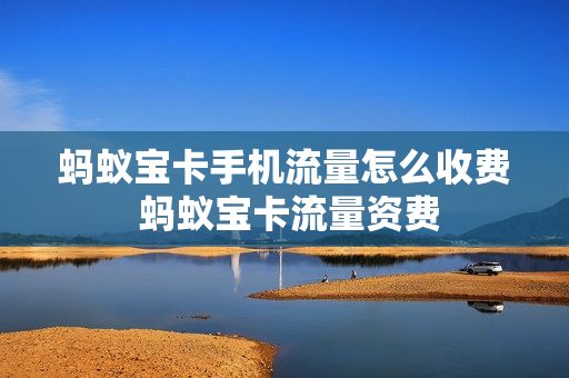 蚂蚁宝卡手机流量怎么收费 蚂蚁宝卡流量资费