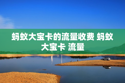 蚂蚁大宝卡的流量收费 蚂蚁大宝卡 流量