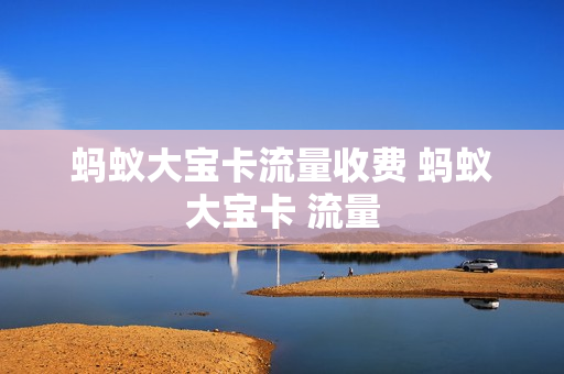 蚂蚁大宝卡流量收费 蚂蚁大宝卡 流量