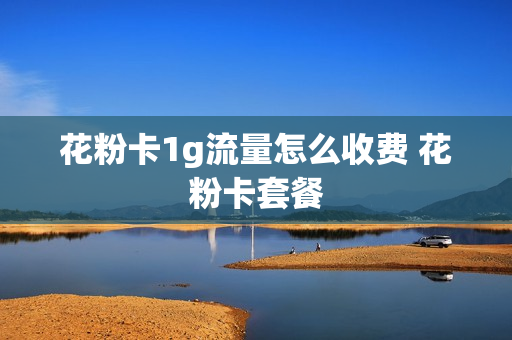 花粉卡1g流量怎么收费 花粉卡套餐