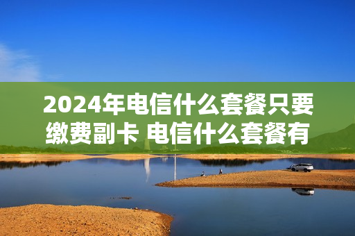 2024年电信什么套餐只要缴费副卡 电信什么套餐有副卡