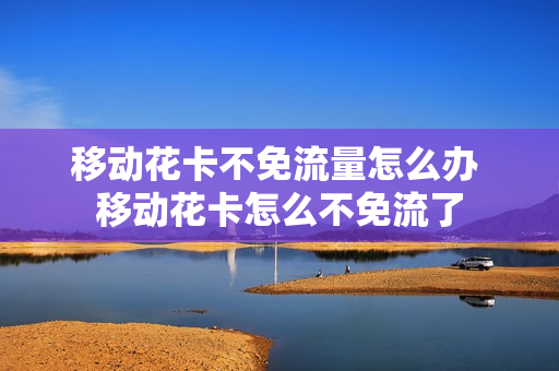 移动花卡不免流量怎么办 移动花卡怎么不免流了