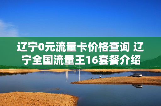 辽宁0元流量卡价格查询 辽宁全国流量王16套餐介绍