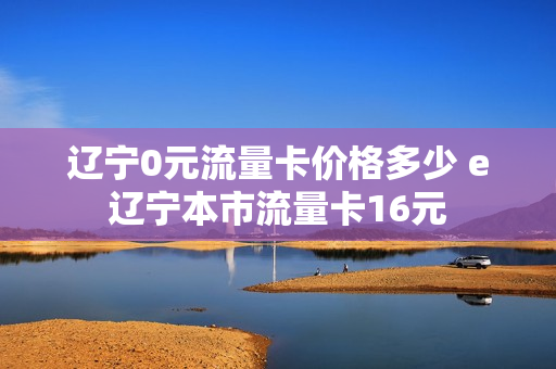 辽宁0元流量卡价格多少 e辽宁本市流量卡16元