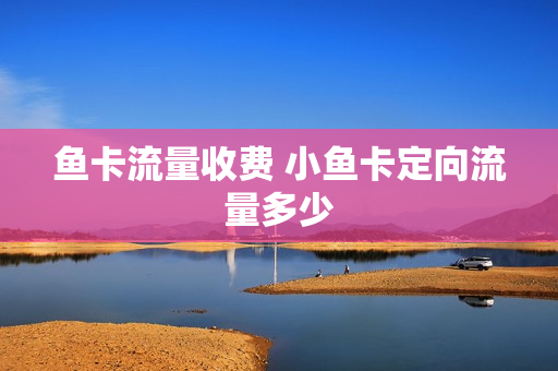 鱼卡流量收费 小鱼卡定向流量多少