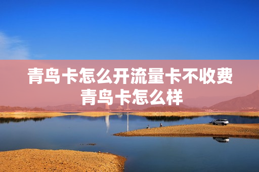 青鸟卡怎么开流量卡不收费 青鸟卡怎么样