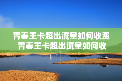 青春王卡超出流量如何收费 青春王卡超出流量如何收费使用
