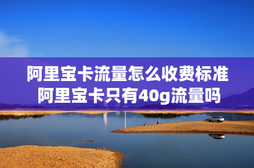 阿里宝卡流量怎么收费标准 阿里宝卡只有40g流量吗