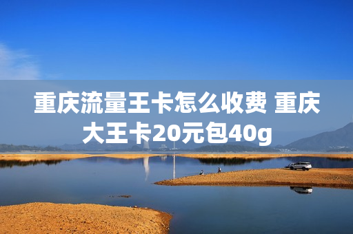 重庆流量王卡怎么收费 重庆大王卡20元包40g
