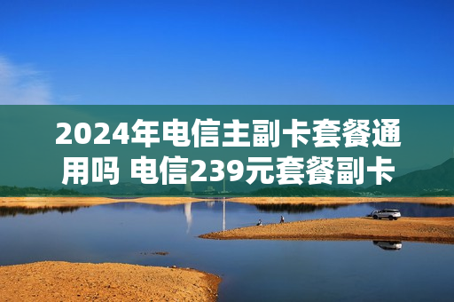 2024年电信主副卡套餐通用吗 电信239元套餐副卡