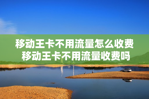 移动王卡不用流量怎么收费 移动王卡不用流量收费吗