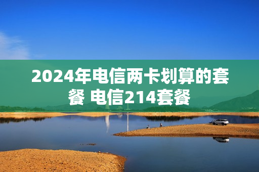 2024年电信两卡划算的套餐 电信214套餐