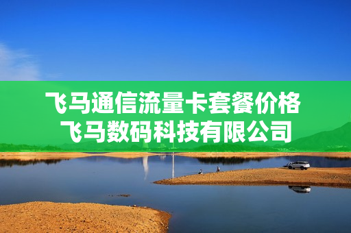 飞马通信流量卡套餐价格 飞马数码科技有限公司