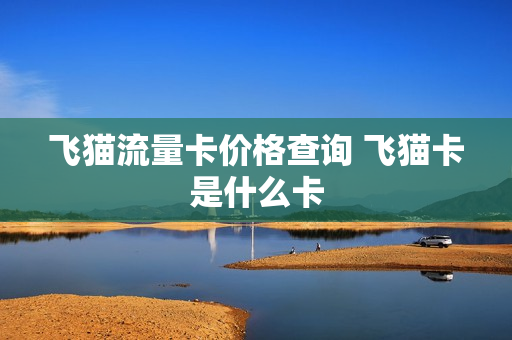 飞猫流量卡价格查询 飞猫卡是什么卡