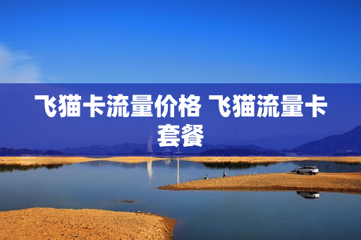 飞猫卡流量价格 飞猫流量卡套餐