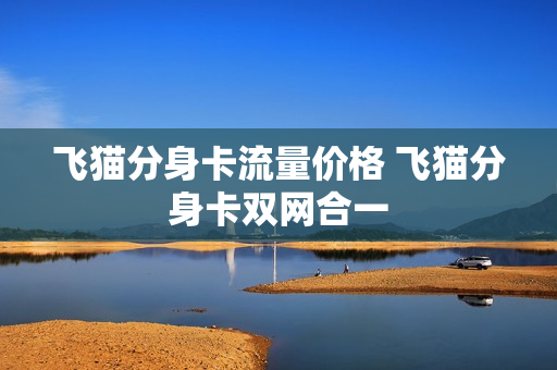 飞猫分身卡流量价格 飞猫分身卡双网合一