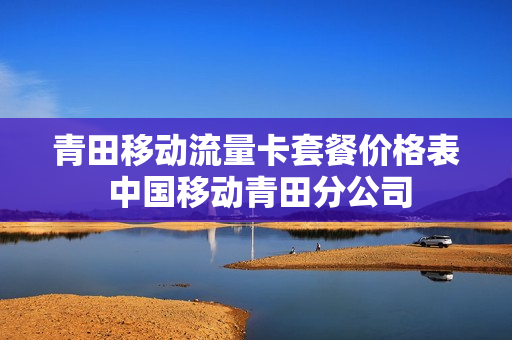 青田移动流量卡套餐价格表 中国移动青田分公司