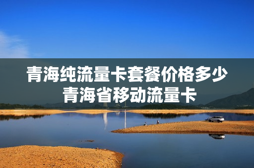 青海纯流量卡套餐价格多少 青海省移动流量卡