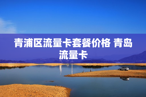 青浦区流量卡套餐价格 青岛流量卡