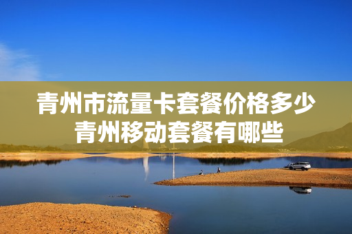 青州市流量卡套餐价格多少 青州移动套餐有哪些