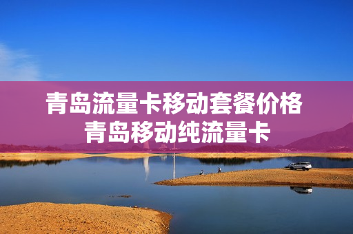 青岛流量卡移动套餐价格 青岛移动纯流量卡