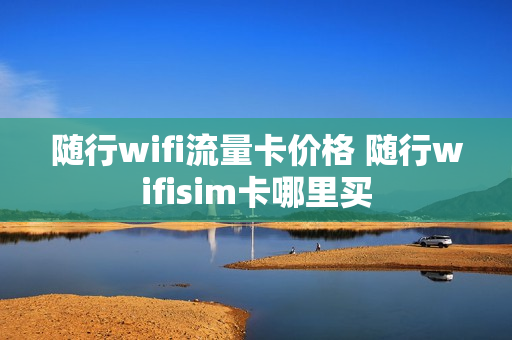 随行wifi流量卡价格 随行wifisim卡哪里买