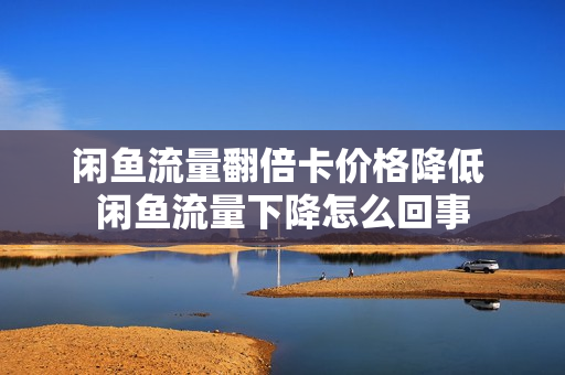 闲鱼流量翻倍卡价格降低 闲鱼流量下降怎么回事
