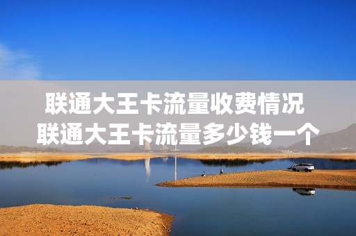联通大王卡流量收费情况 联通大王卡流量多少钱一个g