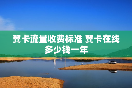 翼卡流量收费标准 翼卡在线多少钱一年