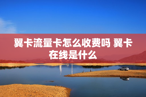 翼卡流量卡怎么收费吗 翼卡在线是什么