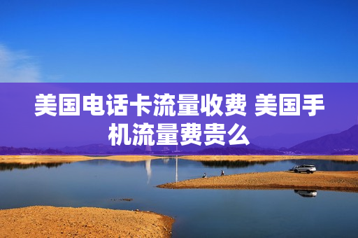 美国电话卡流量收费 美国手机流量费贵么