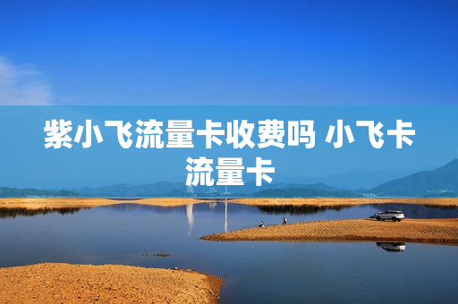紫小飞流量卡收费吗 小飞卡流量卡