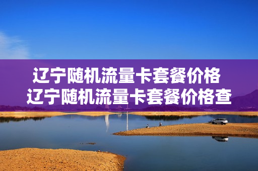 辽宁随机流量卡套餐价格 辽宁随机流量卡套餐价格查询