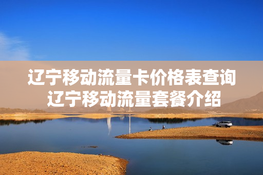 辽宁移动流量卡价格表查询 辽宁移动流量套餐介绍