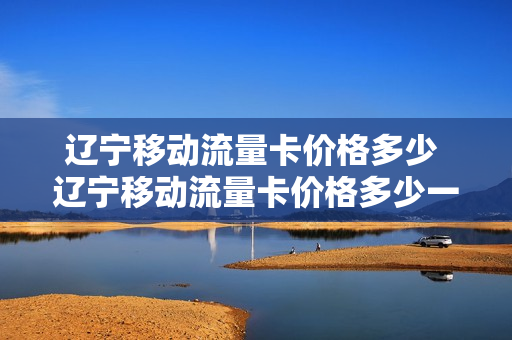辽宁移动流量卡价格多少 辽宁移动流量卡价格多少一张