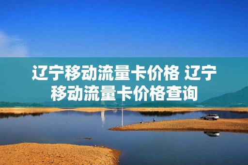 辽宁移动流量卡价格 辽宁移动流量卡价格查询