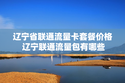 辽宁省联通流量卡套餐价格 辽宁联通流量包有哪些