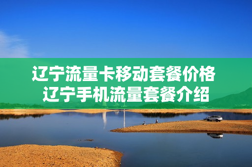 辽宁流量卡移动套餐价格 辽宁手机流量套餐介绍