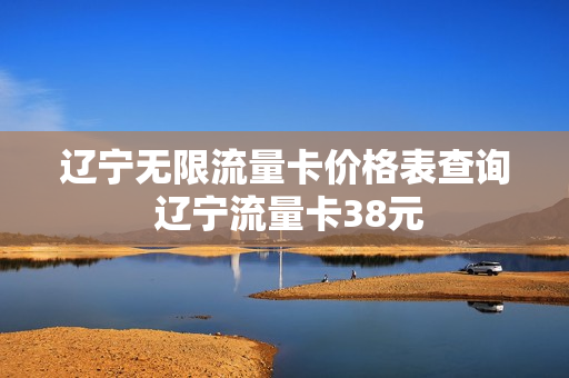 辽宁无限流量卡价格表查询 辽宁流量卡38元