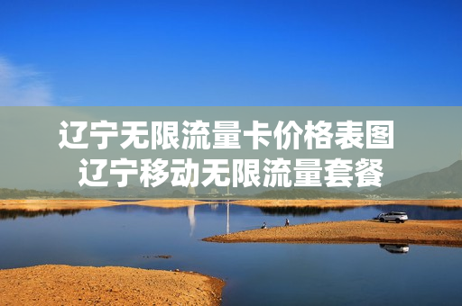 辽宁无限流量卡价格表图 辽宁移动无限流量套餐