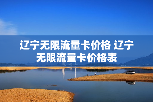 辽宁无限流量卡价格 辽宁无限流量卡价格表