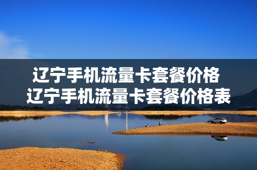 辽宁手机流量卡套餐价格 辽宁手机流量卡套餐价格表