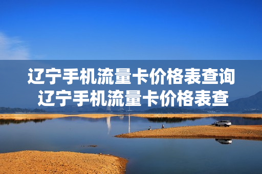 辽宁手机流量卡价格表查询 辽宁手机流量卡价格表查询系统