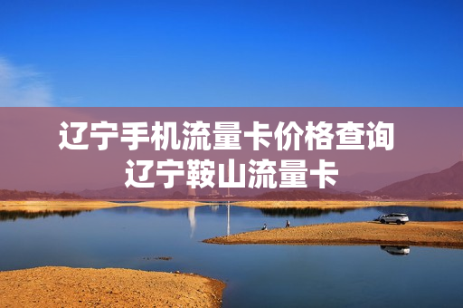 辽宁手机流量卡价格查询 辽宁鞍山流量卡