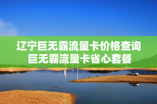 辽宁巨无霸流量卡价格查询 巨无霸流量卡省心套餐