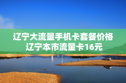 辽宁大流量手机卡套餐价格 辽宁本市流量卡16元